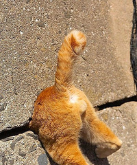 Ϊʲô������ô��������Ǯ��