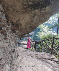 �λ�ԧ��Ϫ֮�ã�������