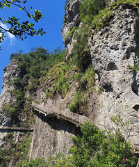 �λ�ԧ��Ϫ֮�ã�������