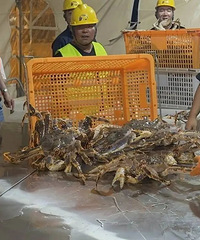 81.2�֣�̨�ݸ��״ν��ڱ�̫ƽ���ʻ�������з