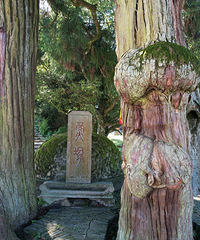 ������������Ϫ�������ʮ�˽���ʫ��֮��