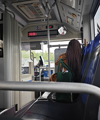 ���޹���Ҳ��������