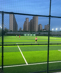 ���Ĵ�����ϵ�����ͦ������