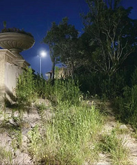 �������ԡ�·�Ʋ����������𻵡�̨�������̵����������ٷ����»�