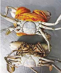 һ���������Ϊ������з�����ء������㡱