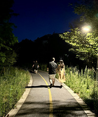 �������ԡ�·�Ʋ����������𻵡�̨�������̵����������ٷ����»�