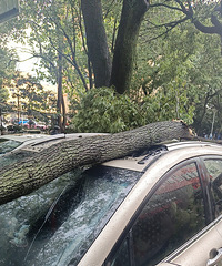 �ղŵı�����̫�����ˣ�����֮�ְ�������