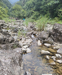 �ɾӵ�ɽˮ�ܶ����������󵶿�Ҳ�ջ�������