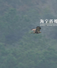 ��Ҫ�ȣ���Ҫ�ȣ���Ҫ�ȣ��㽭�ˣ���������Ҫע����