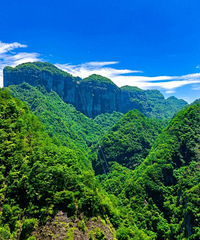 ���ɾӡ���Ұ���١���Ƥ�������������������ɾ�����һ���ɳڸУ�