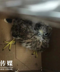 ��Ҫ�ȣ���Ҫ�ȣ���Ҫ�ȣ��㽭�ˣ���������Ҫע����