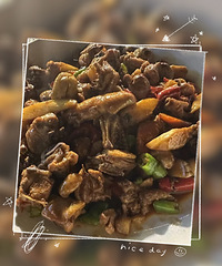 �������ʲô��������ͦ���