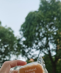 ��������ȷʵ�ó�