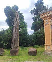 ��������Ѱ����