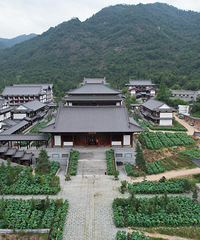 �����µĽ�������Դ������į