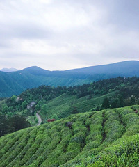 ���ң�һЩ�����㡱�����շ���