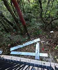 ����ɽ�����β�������ʩ���е�Ұ��