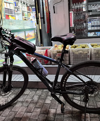 ҹ����������������