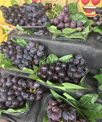 �������ʲô����ϲ������⣬�о����������ر��