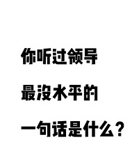 �������쵼��ûˮƽ��һ�仰��ʲô��