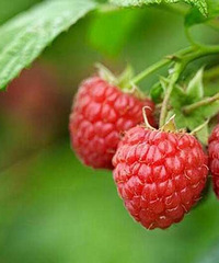 ��������̨�ݵı��ط��Խ�ʲô��