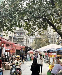 Ѱζ̨��ح��԰�˳�������ô��ô���ԣ�