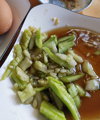 �������ʲô���ճ���ͣ����������ͷ