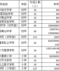 �������У��漰��Щ��СѧУ