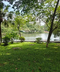 ũ����ʱ���Ϊʲô��ô���أ���ôʲô��Ҫ�ȣ�