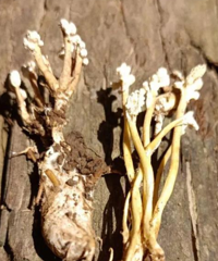 ·��3�˳���ˮ��ߡ���ݡ����������ICU