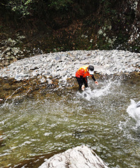 �ɾӵ�ɽˮ�ܶ����������󵶿�Ҳ�ջ�������