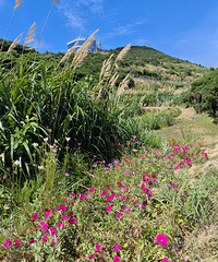 35�����δ��GG������176���������׷���