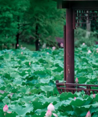 ����15ʱ44�֣�̨����ʽ����