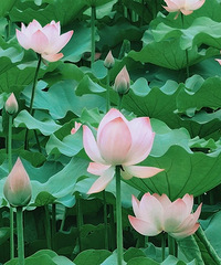 ����15ʱ44�֣�̨����ʽ����