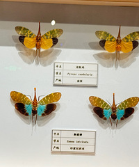 ·�Ų���ݣ���С����ȥ�����滹ͦ������