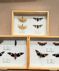 ·�Ų���ݣ���С����ȥ�����滹ͦ������