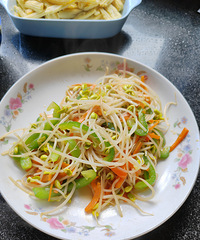 �������ʲô������̫�ȣ������������������ز˳Գ԰�