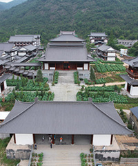 ���������£�̽Ѱ�������ɼ��е�������Դ��