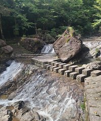 �����룺�Ƹ������ļҴ���Ȼ����Ȼ���ɡ�������������