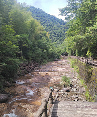 �����룺�Ƹ������ļҴ���Ȼ����Ȼ���ɡ�������������