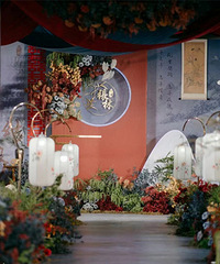 ��ױ�����