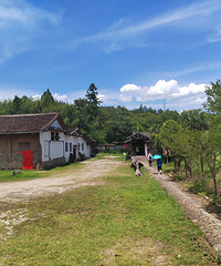 ������̩˳���º�ӭ���Ļ���֮��