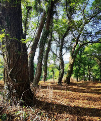 ���پ������Դ��յ�ģʽ��������Щ�ط�̫�ʺϱ����ˣ�