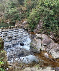 ����̨�ݣ�Ѱ����Ұ���٣�ס������"�ɾ�"