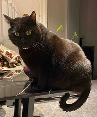 88����������175���Ը��ʻ��������Ǽ��ж�����