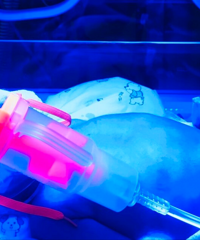 ������������ҪסԺ�������⡱�������˸���8�㽨�飬�����а���