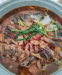 [�����ʲô]�������������㣬���翾�㰲����