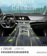 Ϊ����ǰ�ó������죬��Ҫ����230Ԫ