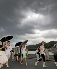 ��������������Ϣ���㽭����ֲ����ꡢ10�������ױ����