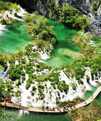 [���޵���]������ά�ɺ����лƹ����ٲ��緶